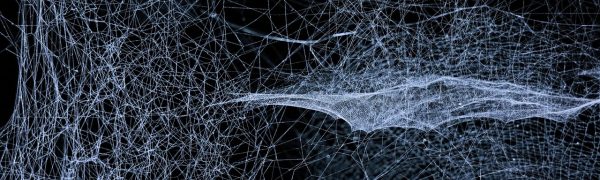 教育机构网络管理员使用 netc 查看校园网各楼栋节点状态，橄榄绿配色界面清晰展示在线学生数与带宽占用